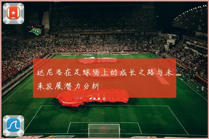 达尼洛在足球场上的成长之路与未来发展潜力分析